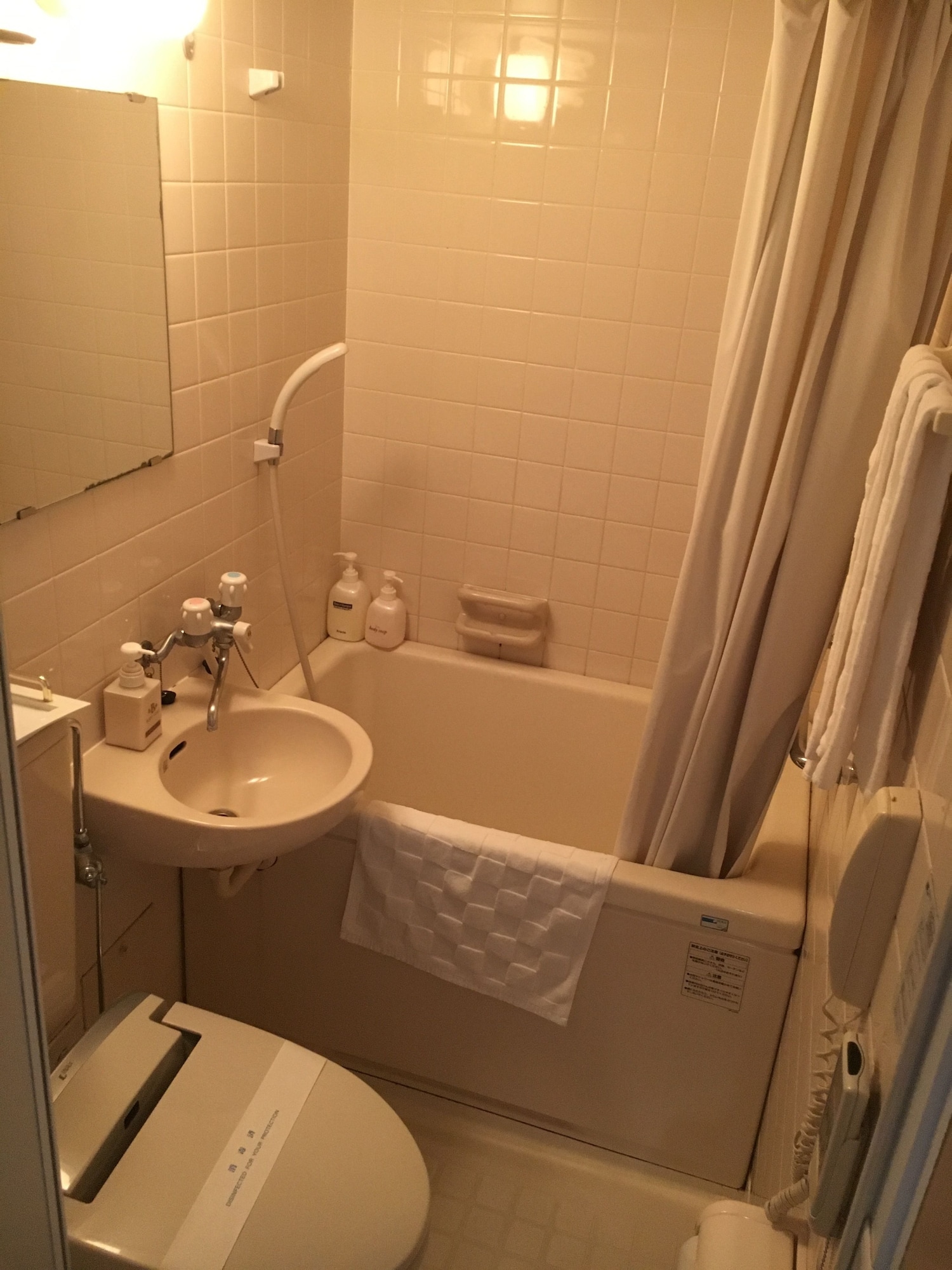 غرفة بسرير مزدوج، Enagic Okinawa Kokusai Plaza Hotel 9/9