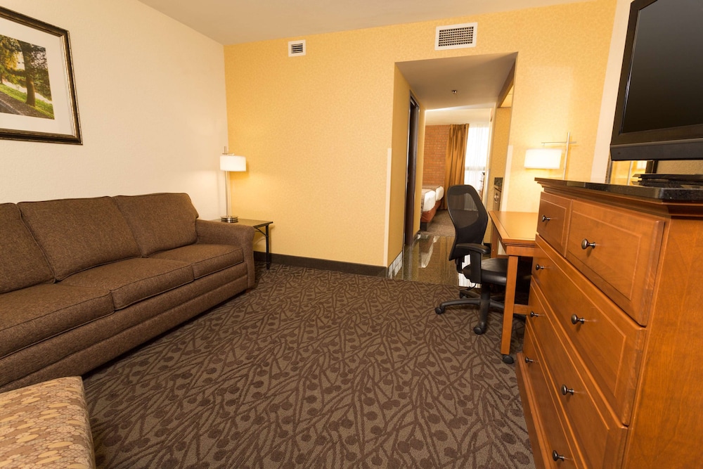 Drury Inn and Suites Frankenmuth 20/28