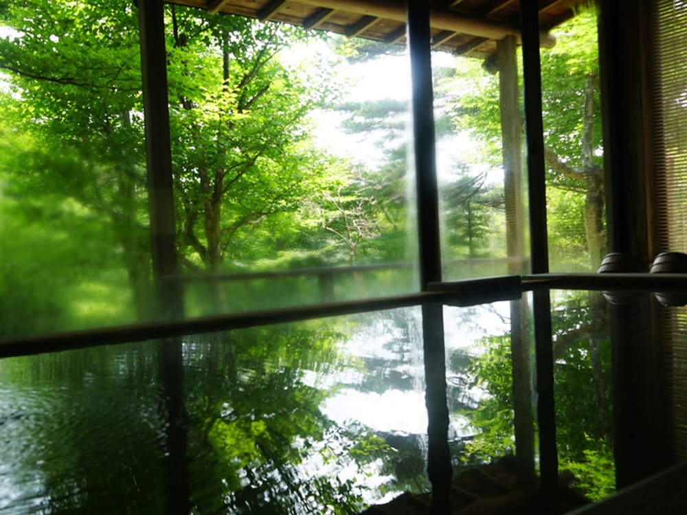 Nasuyumoto Onsen Wakaki Ryokan 18/46