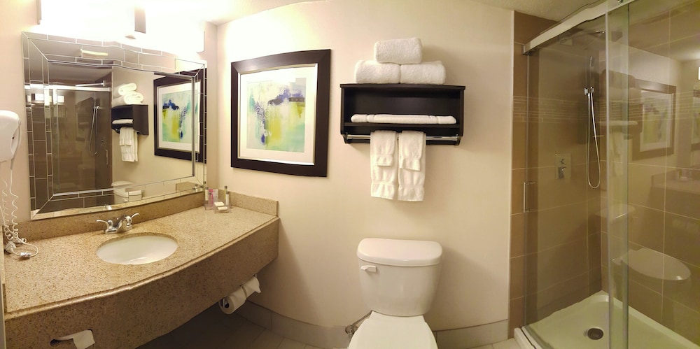 Holiday Inn & Suites Syracuse Airport - Liverpool 74/76
