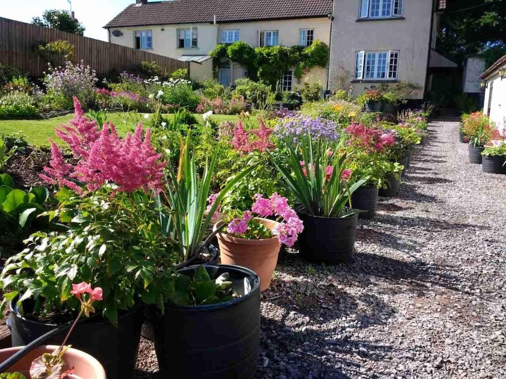 Brambles B&amp;B 44/49
