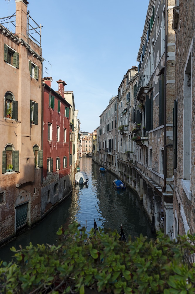 Antico Doge 41/50