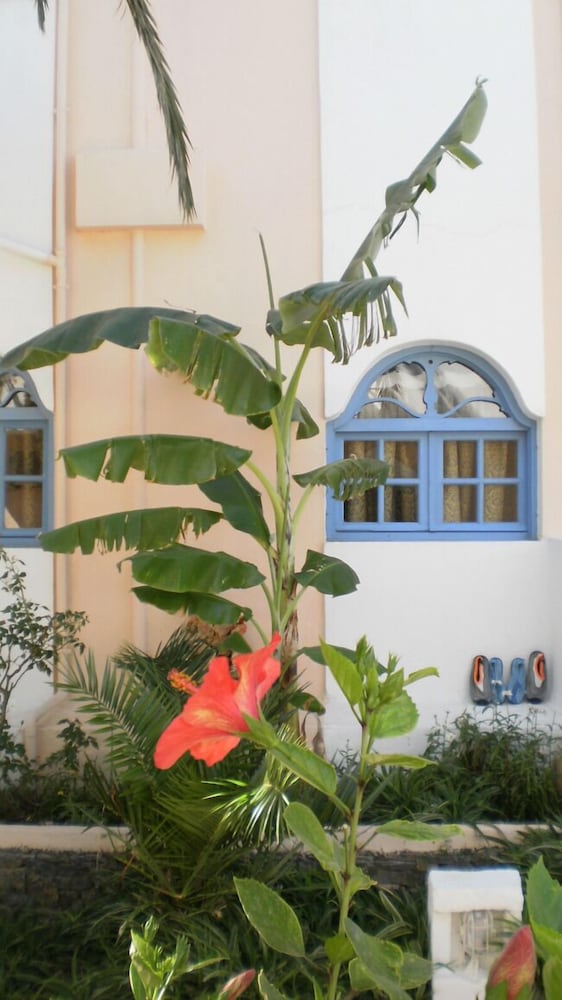 Sirena Apartments photo1