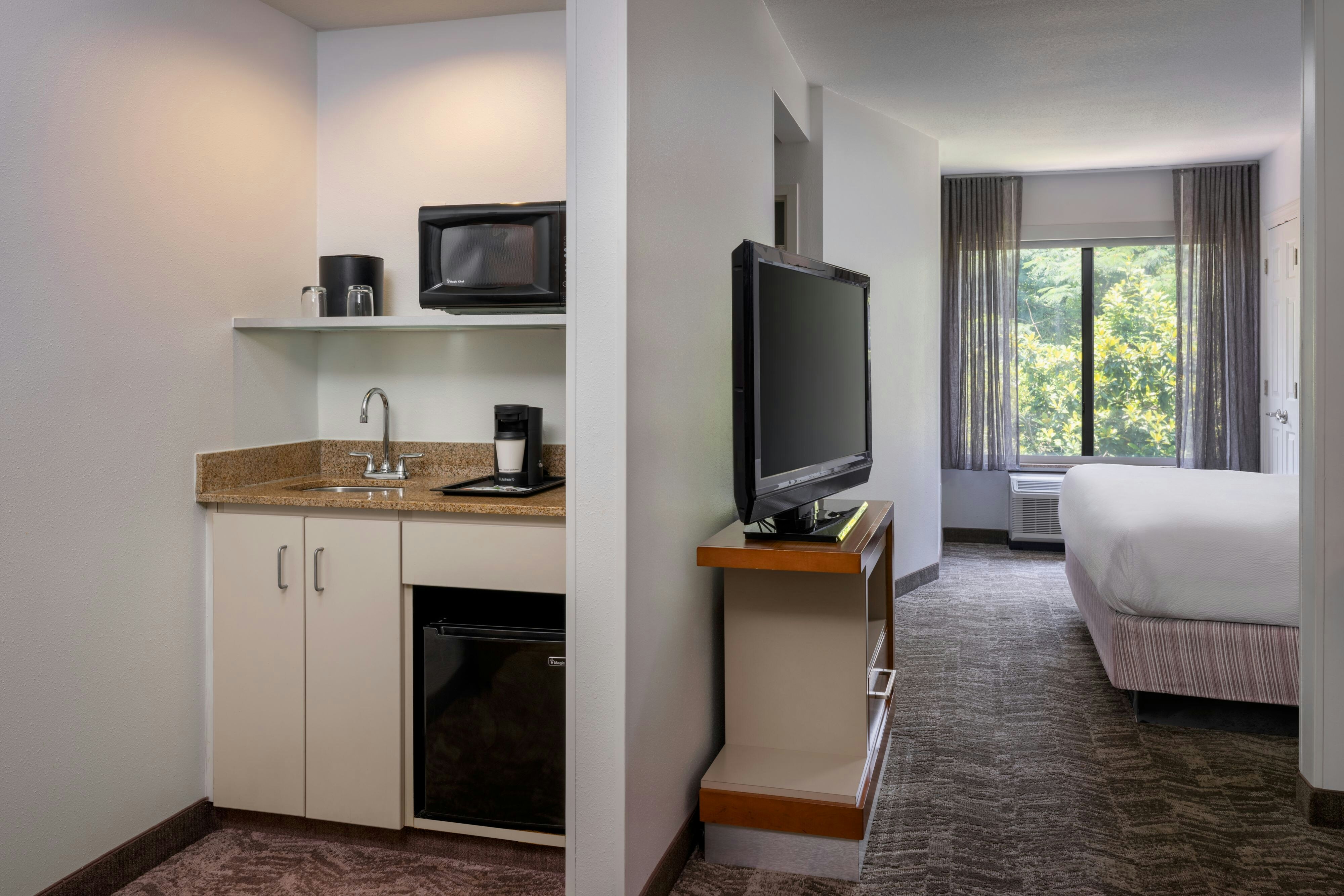 SpringHill Suites Charleston North/Ashley Phosphate 32/46