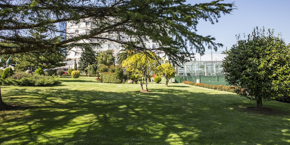Hotel Nuevo Astur Spa 6/61