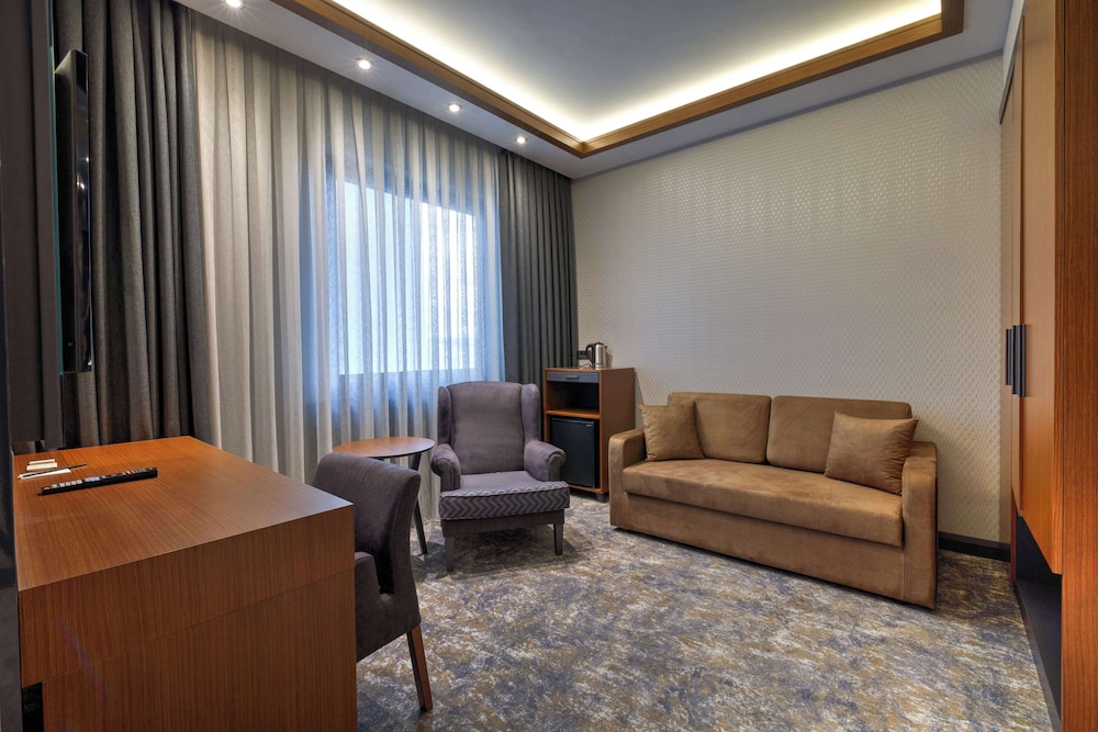 Nova Vista Eskisehir Centrum Hotel, a Member of Radisson Individuals 37/61