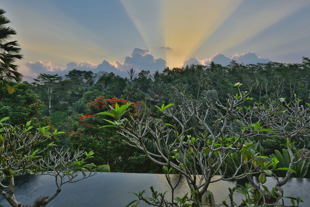 Alam Ubud Culture Environment Villa And Residences 62/72