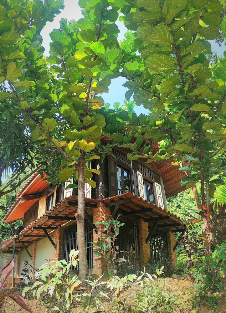 S`ekar Pinang Langkawi 3/50