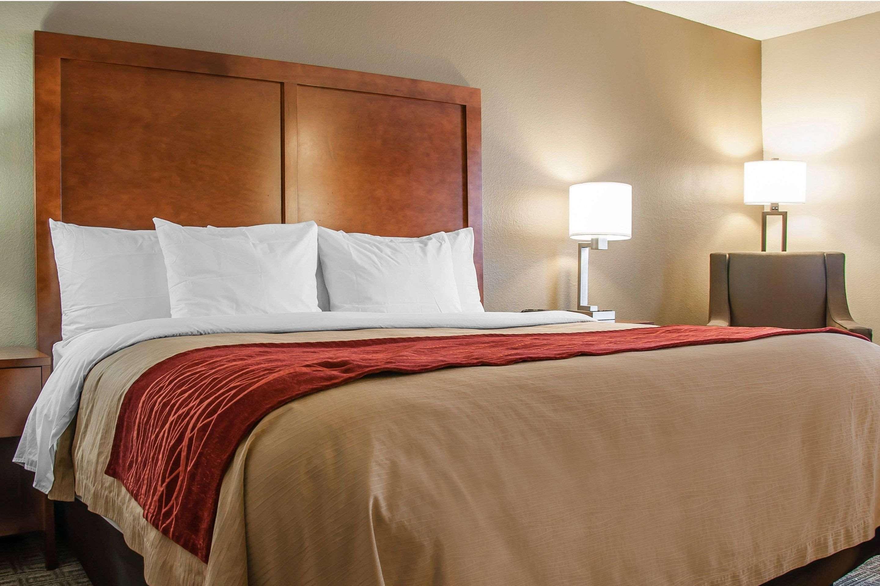 Upgrade, Suite, King Bed