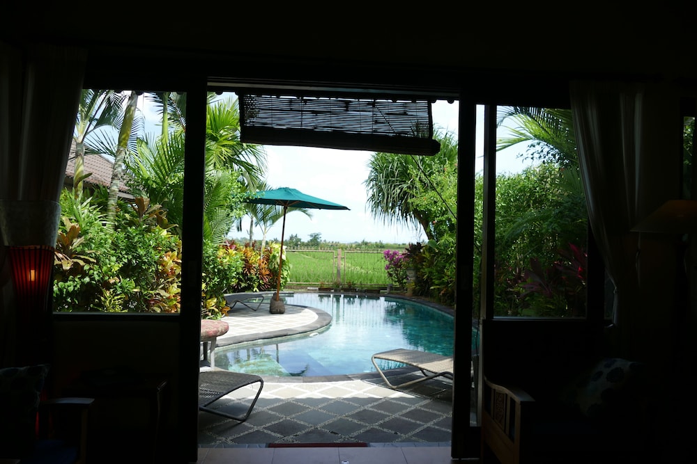 Devi's Place 27/50