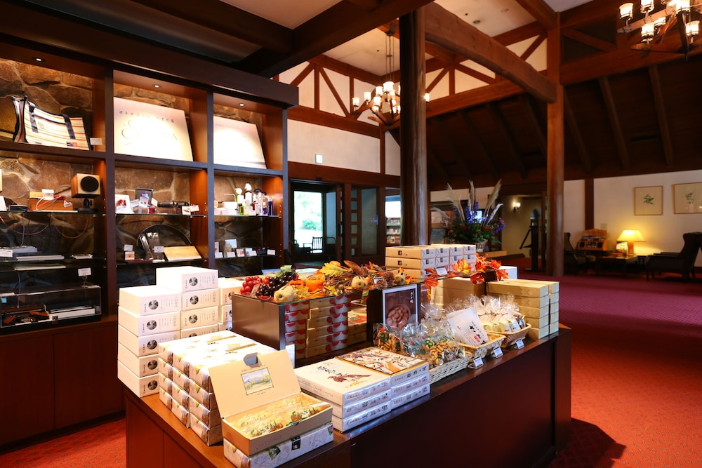 Tateshina Tokyu Hotel 22/50