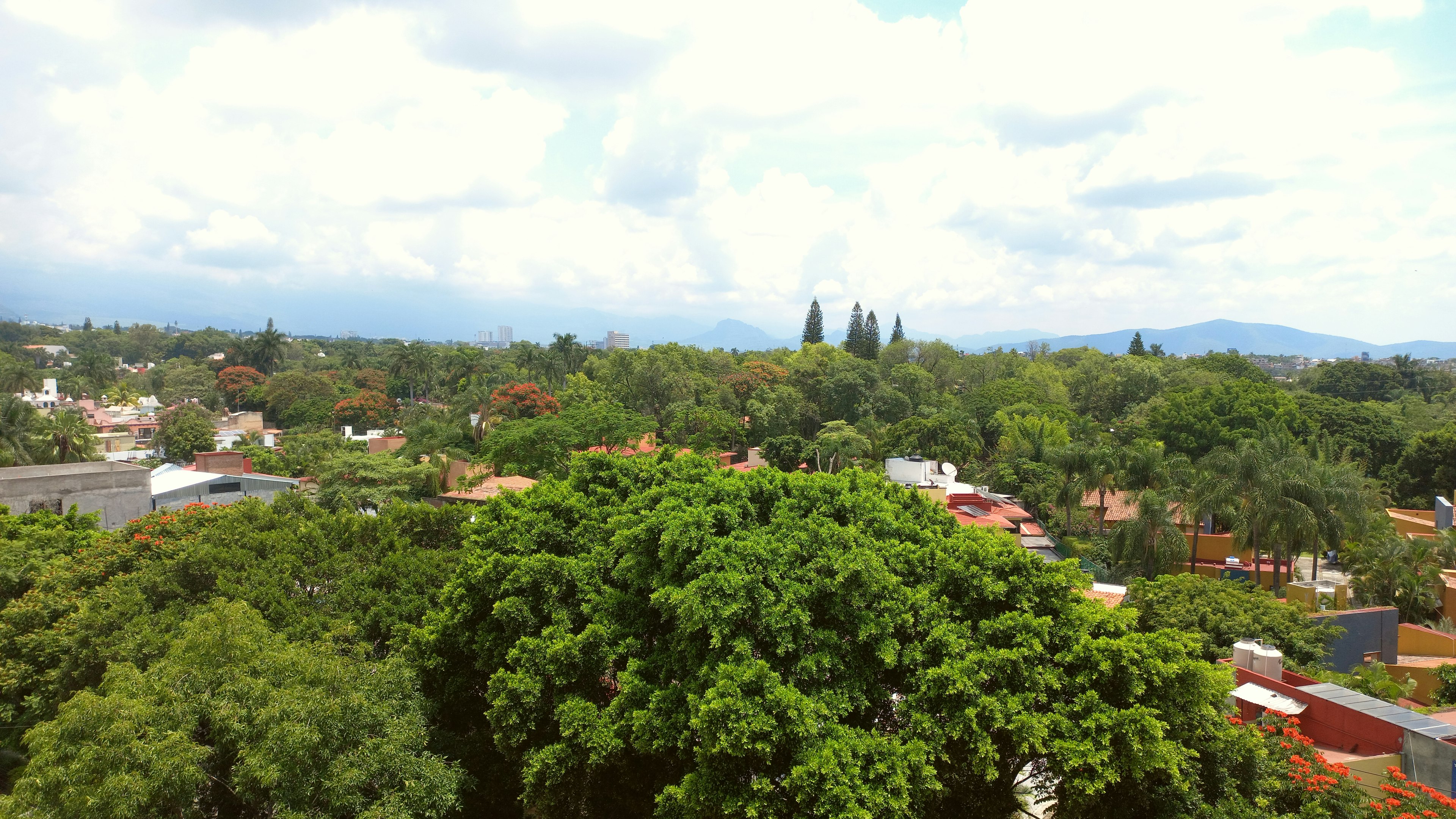 Holiday Inn Cuernavaca 48/50