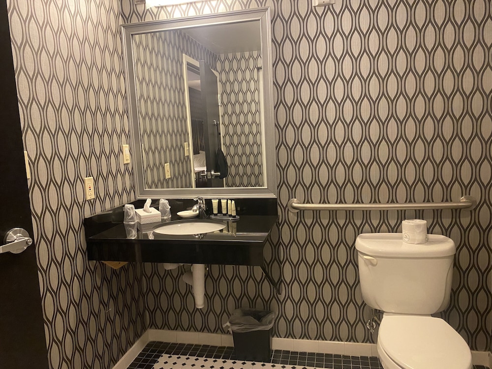 PARK MANOR HOTEL, AN ASCEND HOTEL COLLECTION MEMBER 35/36