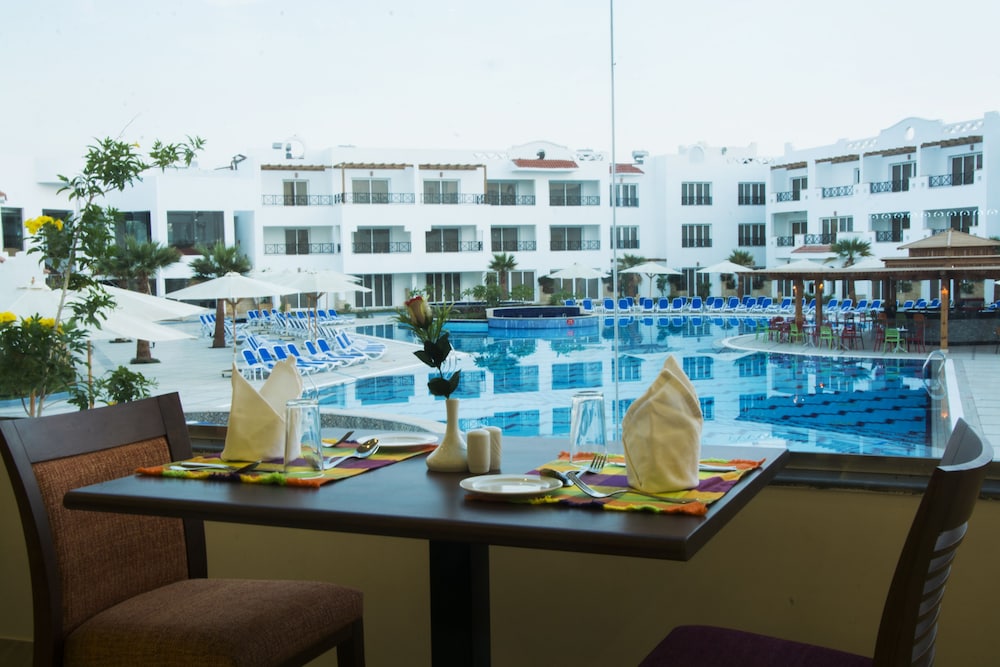 Old Vic Sharm El Sheikh 12/53