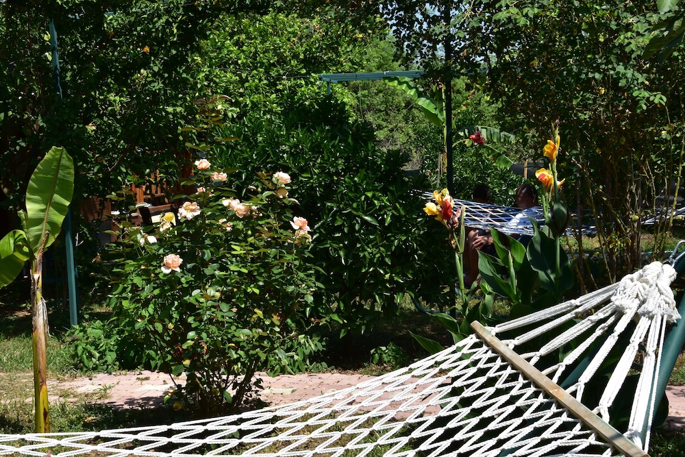 Lemon Garden Lodge 40/50