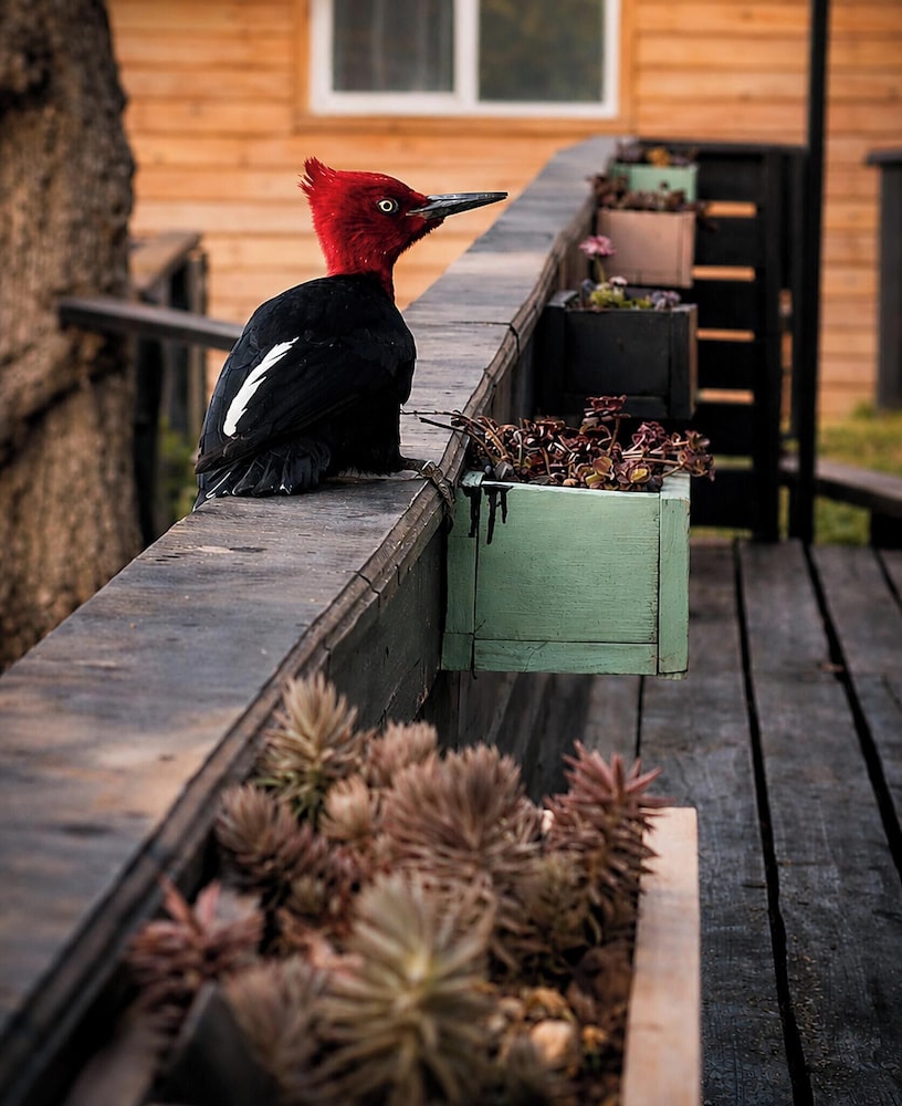Calafate Lodge Patagonia 23/52