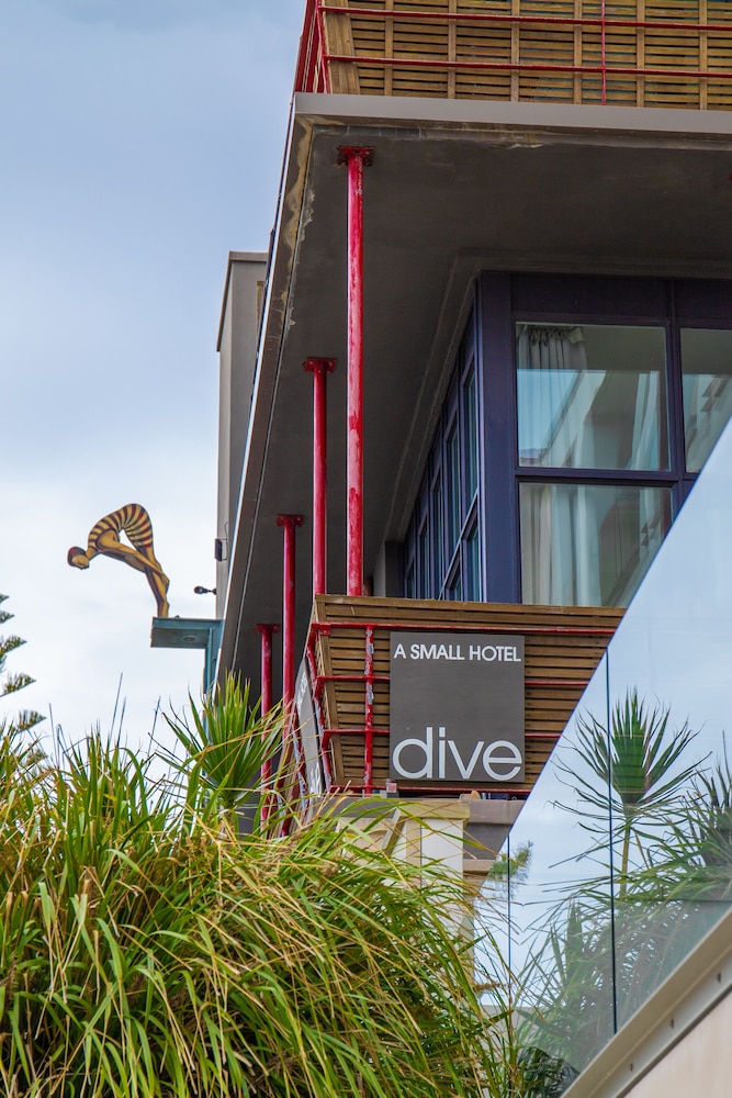 Dive Hotel Coogee Beach 5/53