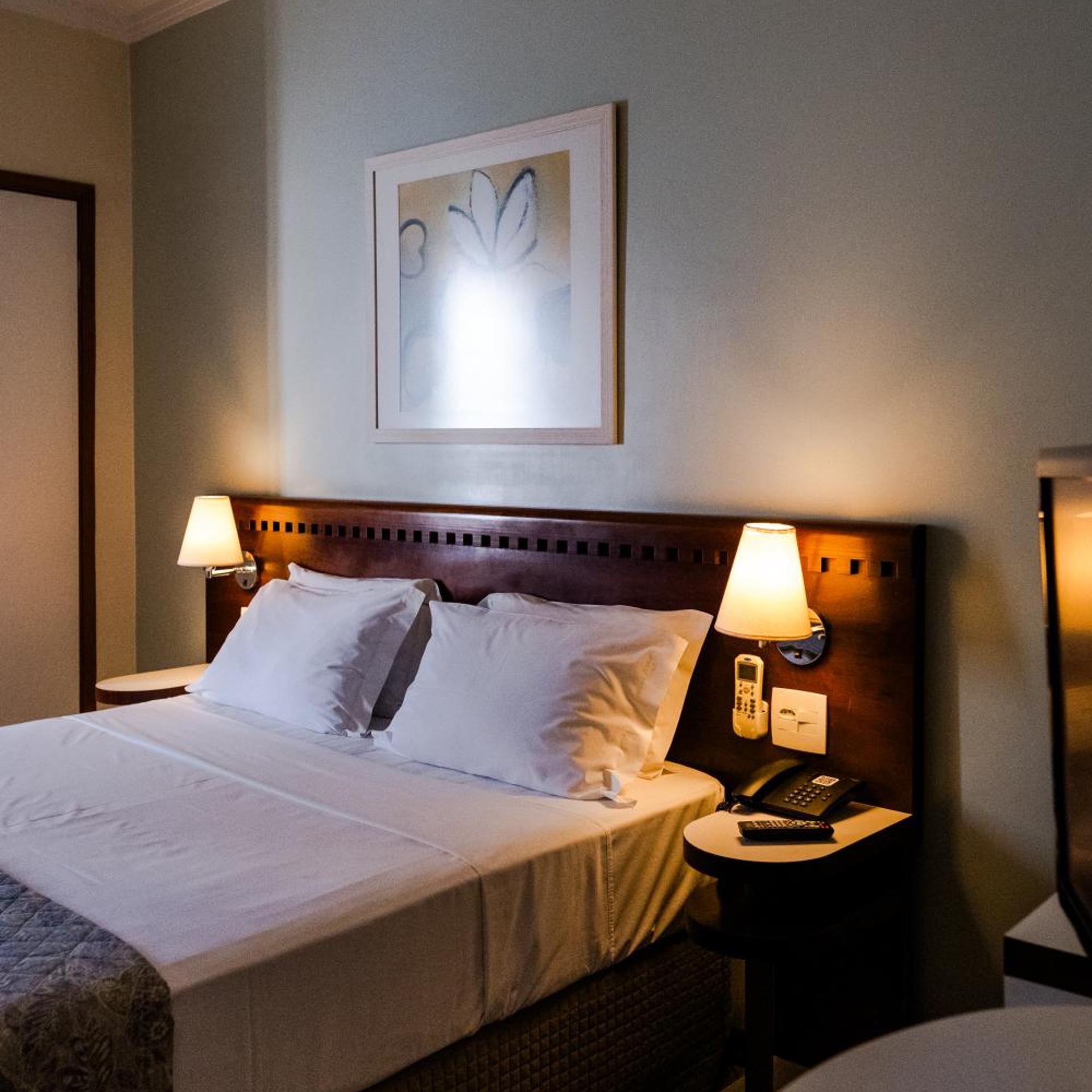 Vitoria Regia Hotel 16/50