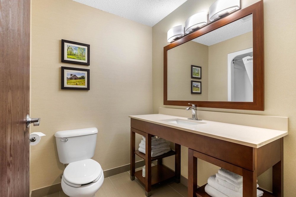 Comfort Suites Cedar Falls Industrial Park 16/34