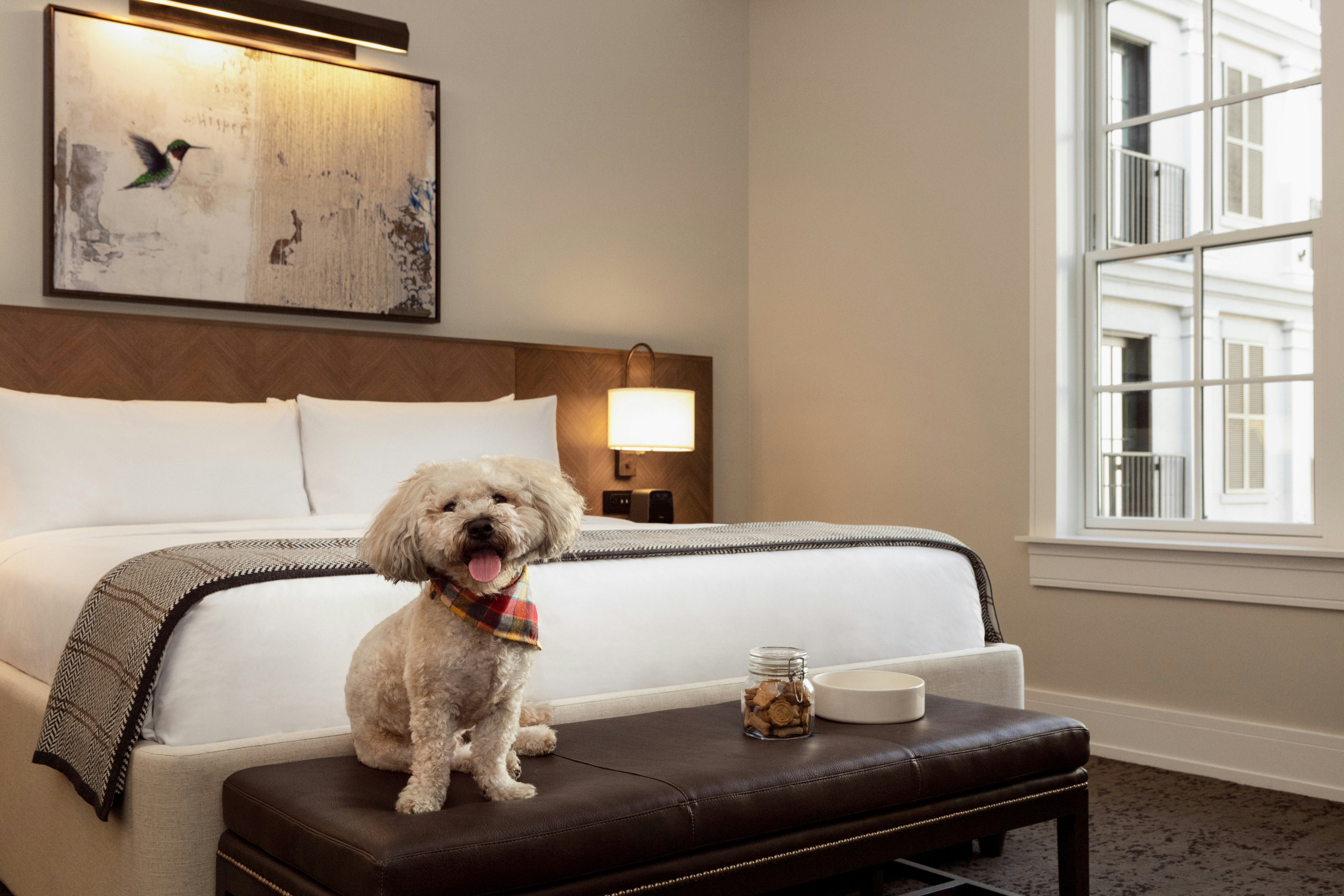 The Harpeth Franklin Downtown Curio Collection By Hilton 12/50
