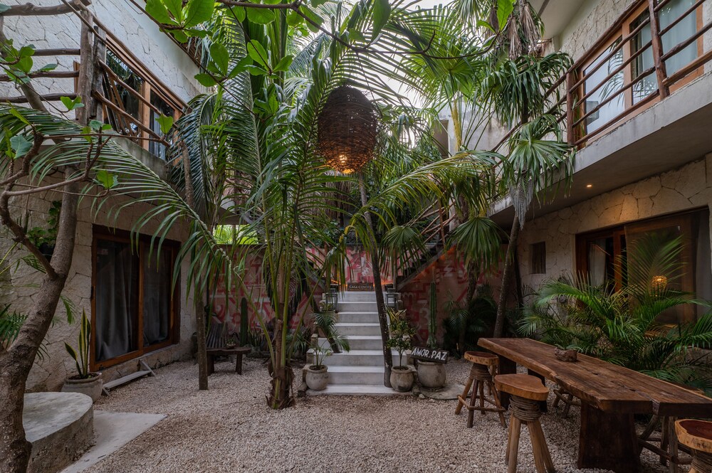 Casa Coyote Tulum 35/50