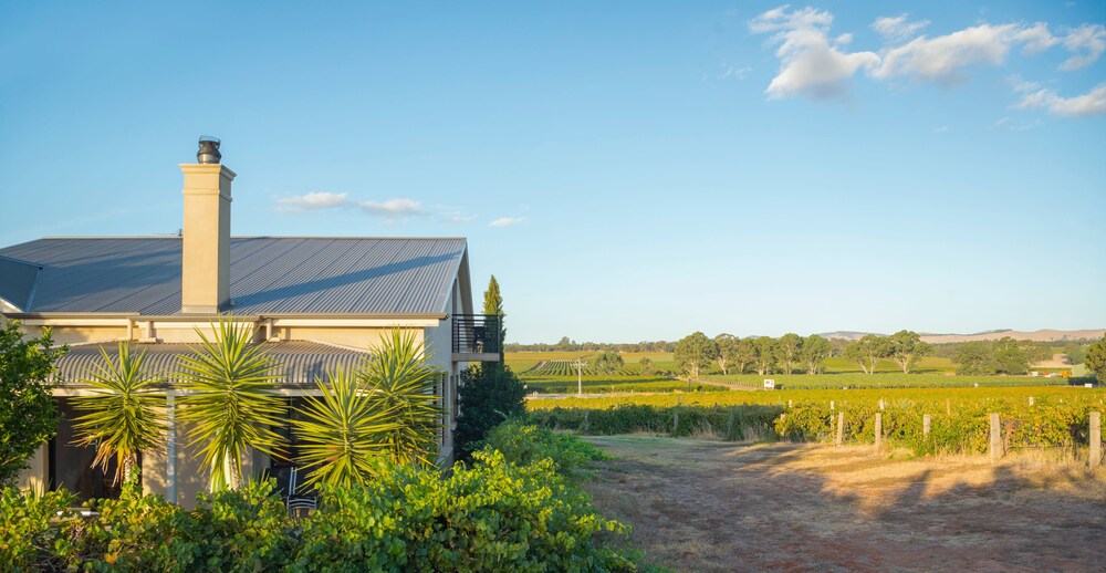Barossa Shiraz Estate in LYNDOCH