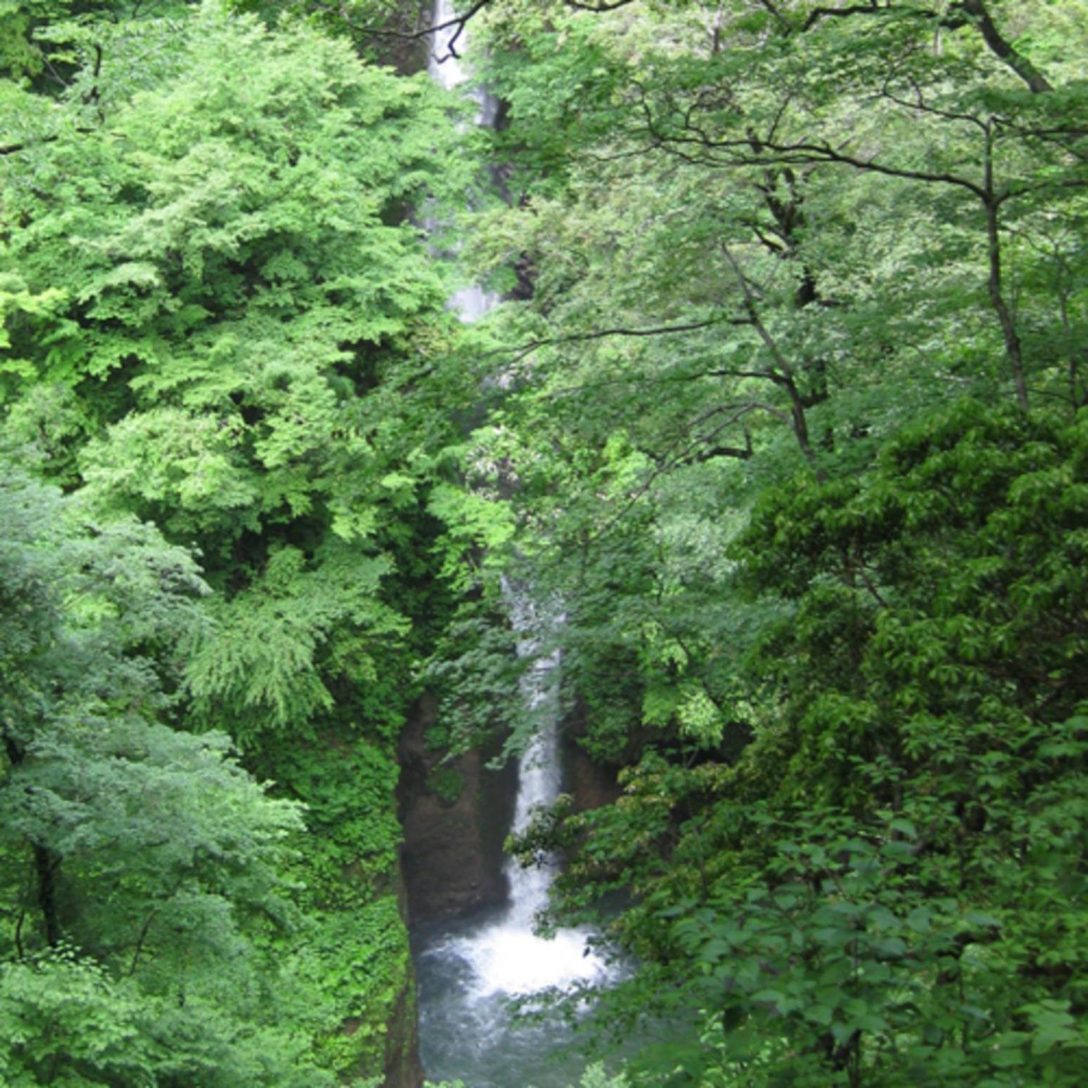 Kyukamura Oku-Daisen 49/65