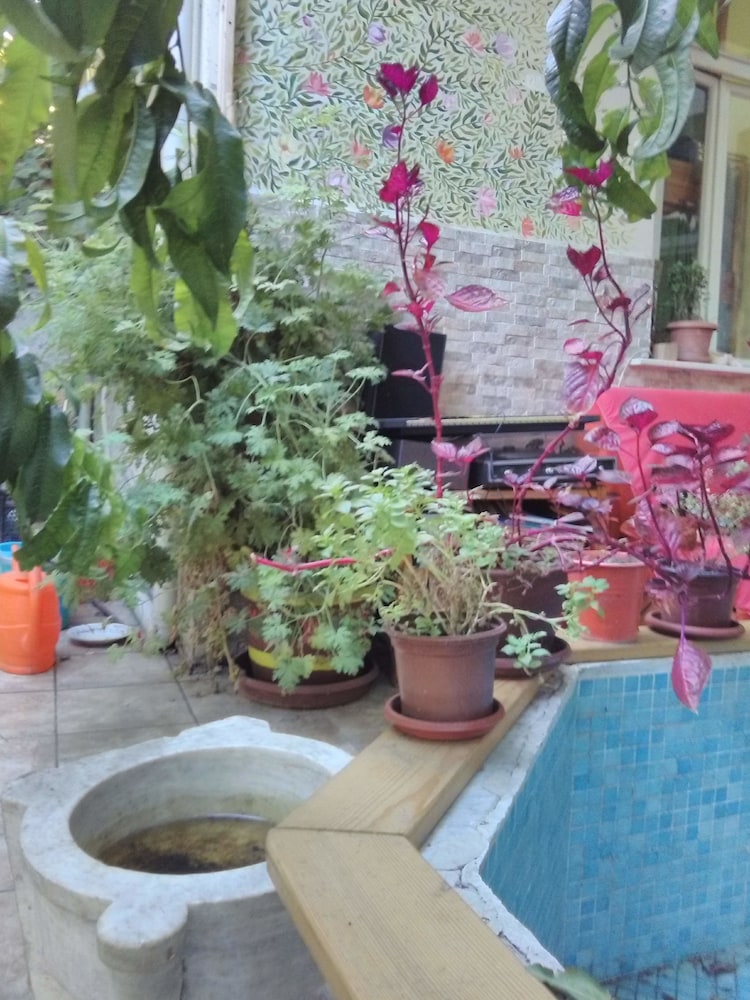 Lotus Garden Hostel 35/35