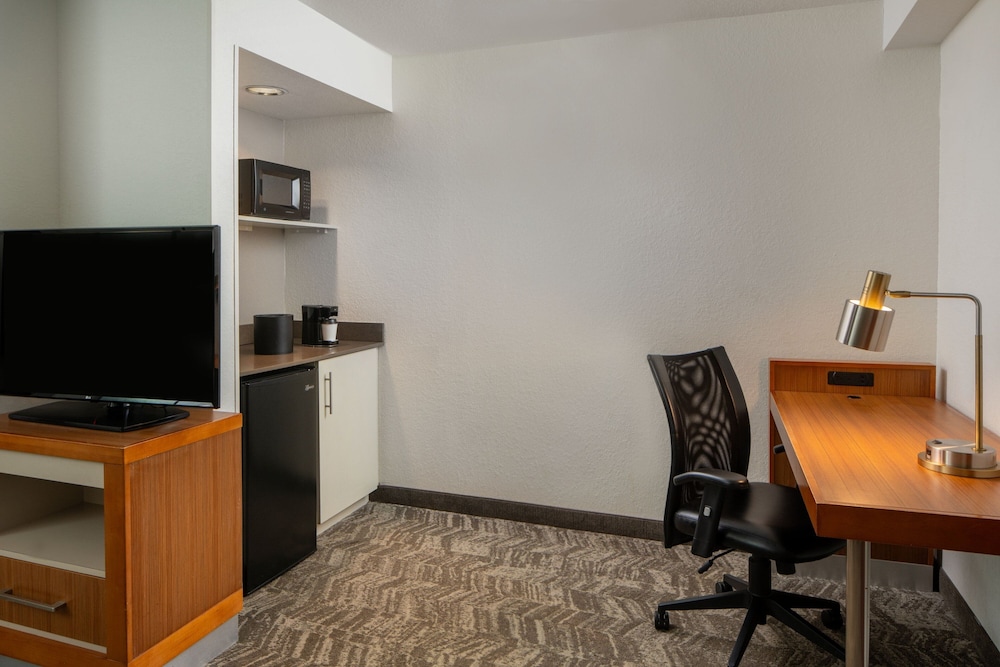 SpringHill Suites by Marriott Convention Center/I-drive 45/59