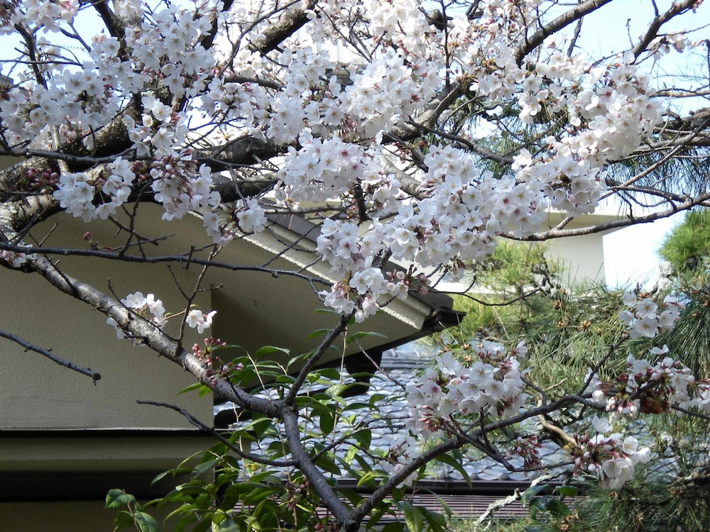 Hotel Hagoromo 4/50
