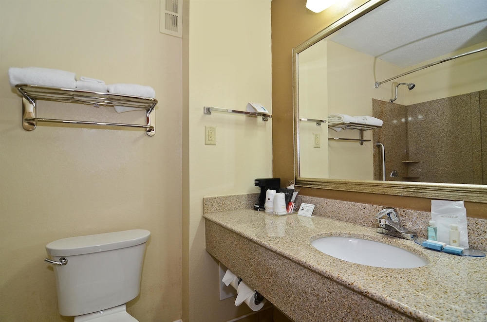 Best Western Executive Inn Battle Creek 19/46