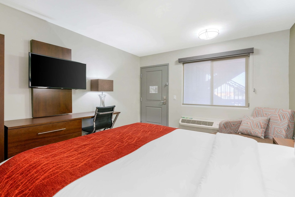Standard, Queen Bed