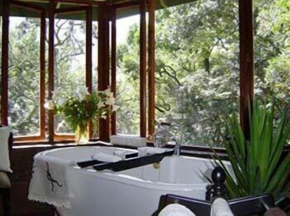Forest Creek Lodge &amp; Spa 23/50