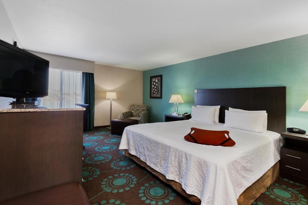 Room at Spark by Hilton Bakersfield Central, BAKERSFIELD - CA