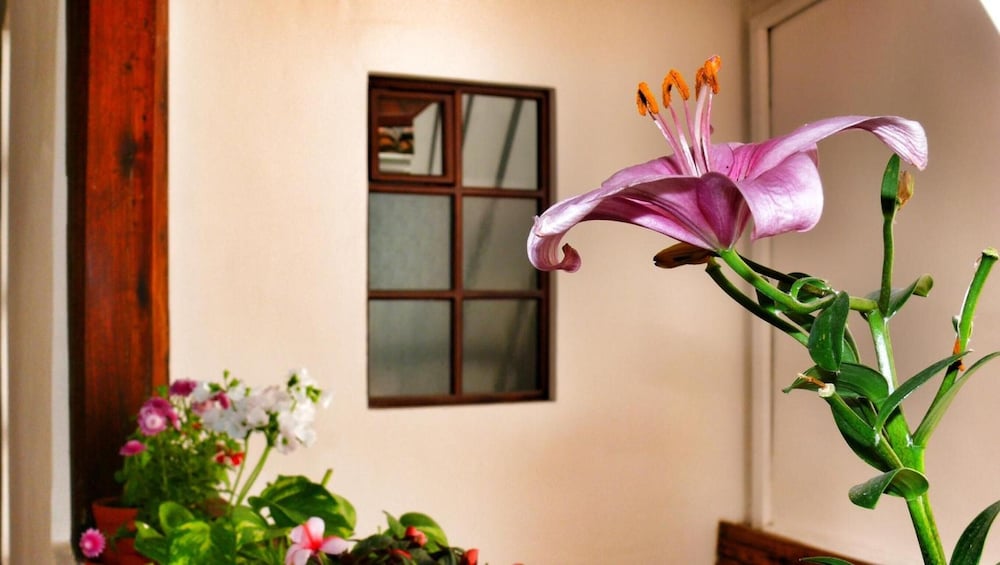 Casa De Las Rosas 48/63
