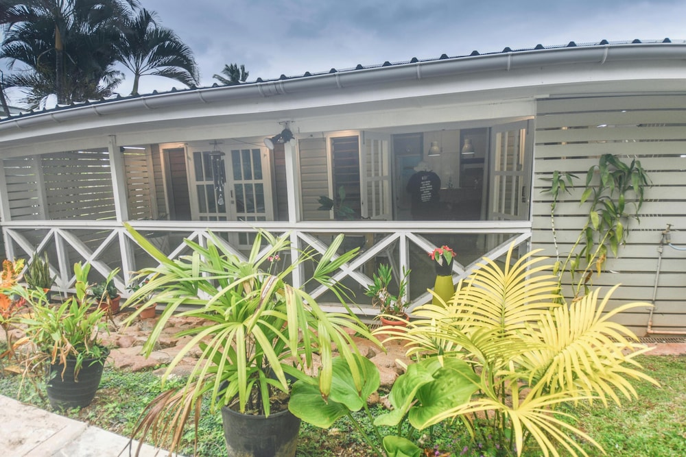 Tropical Island Breeze in SAVUSAVU