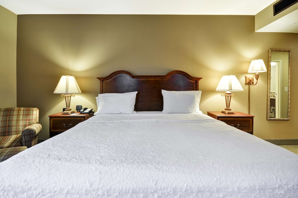 Hampton Inn Charleston Historic District 31/61