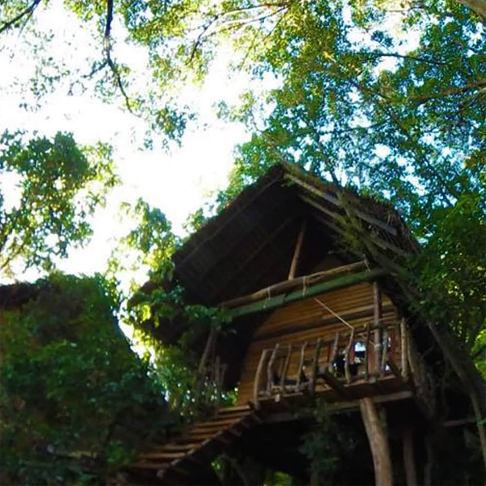 Amuna Ayurvedic Retreat