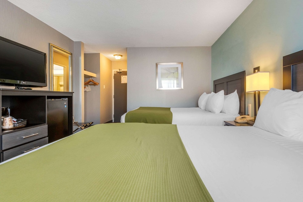 Quality Inn & Suites Mississauga 13/41