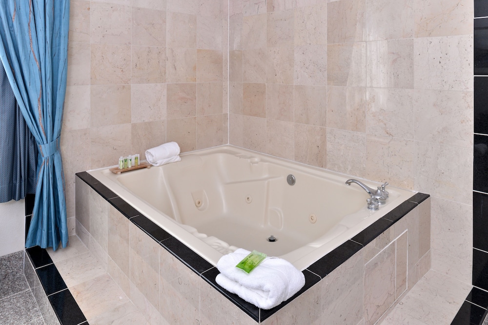 Holiday Inn Express and Suites Tacoma South Lakewood, an IHG Hotel 29/64