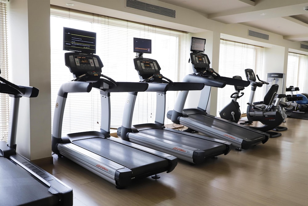 Radisson Blu Bengaluru Outer Ring Road (ex Park Plaza Bengaluru Hotel) 38/74