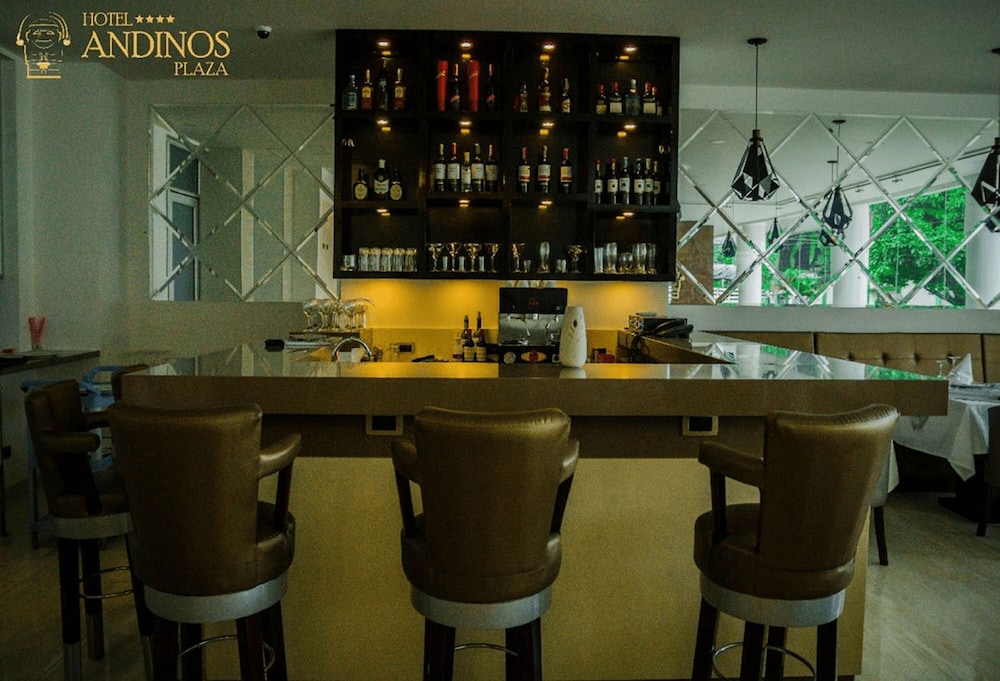 Hotel Andinos Plaza 35/48