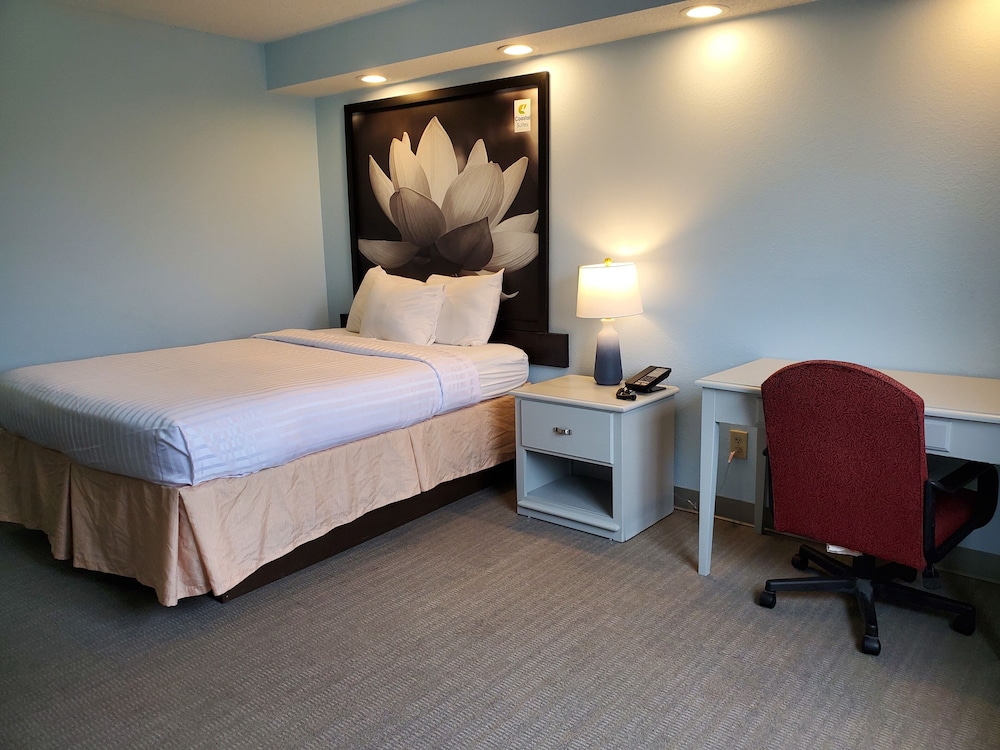 STANDARD, QUEEN BED