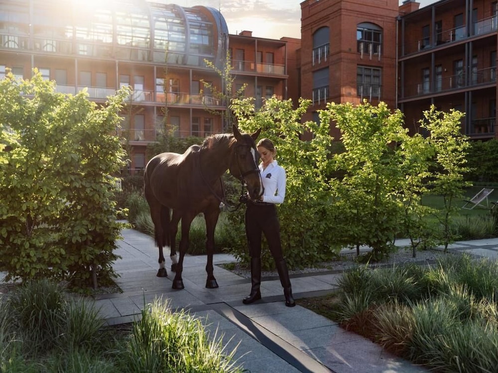 surroundings