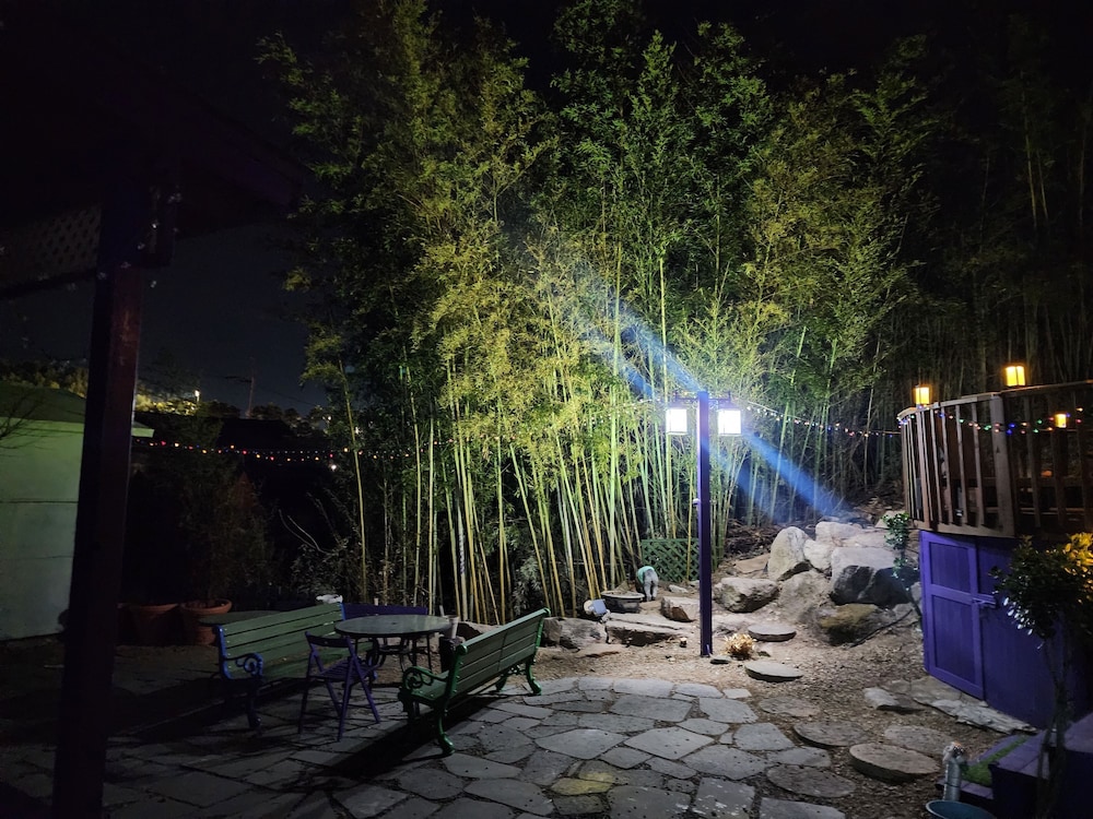 Bellus Rose Pension Hotel 61/64