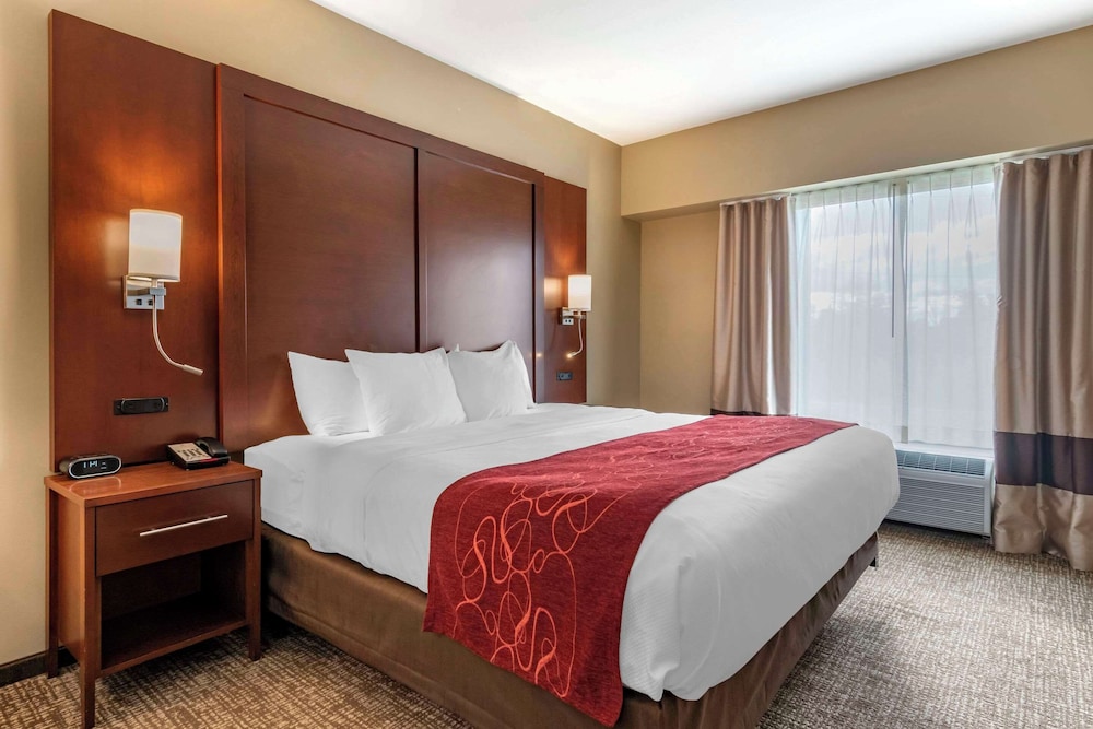 Comfort Suites Manheim - Lancaster 19/55