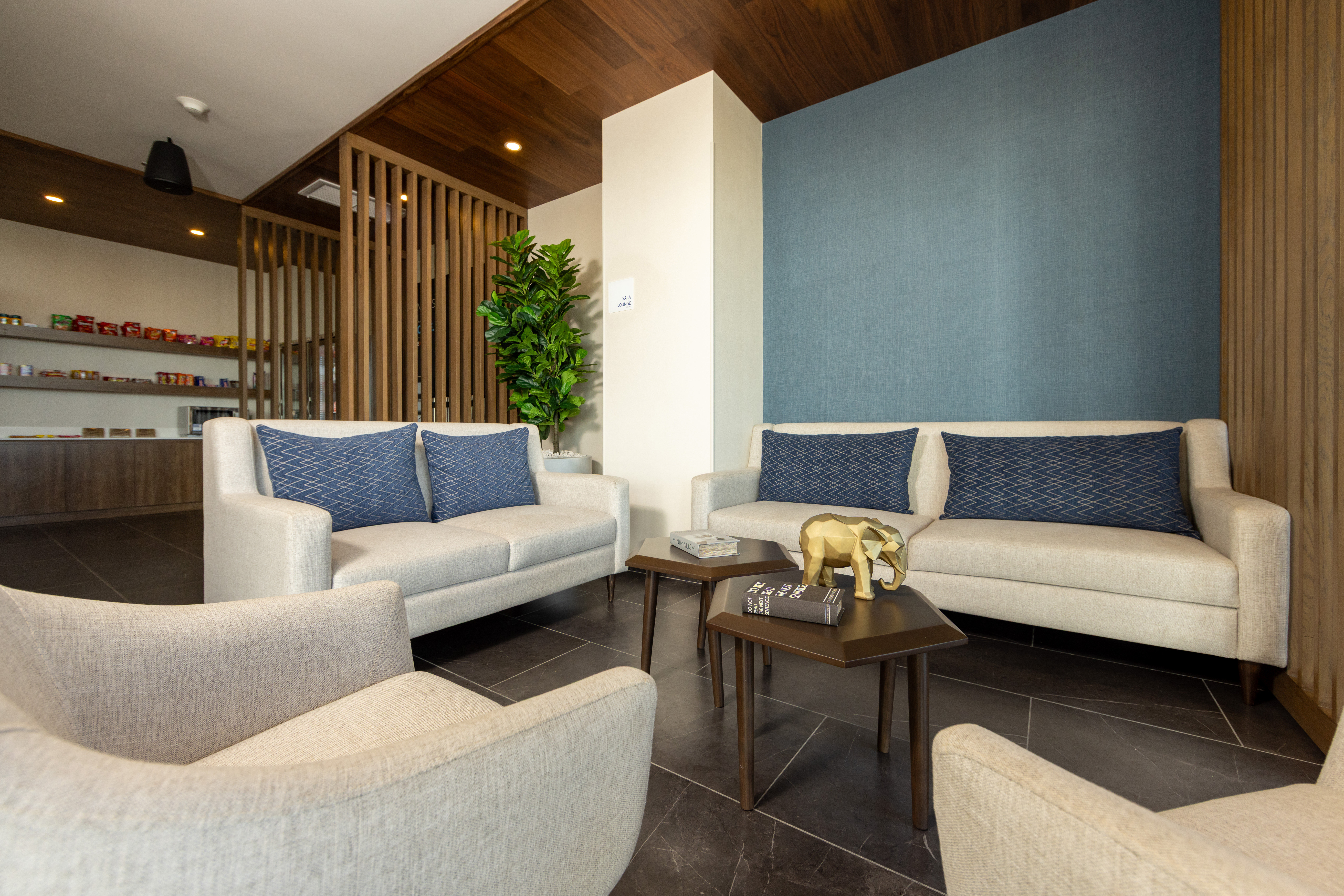 Holiday Inn Express & Suites MAZATLAN 31/50