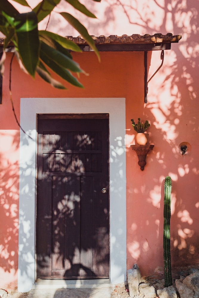 Hacienda Sacnicte 10/50