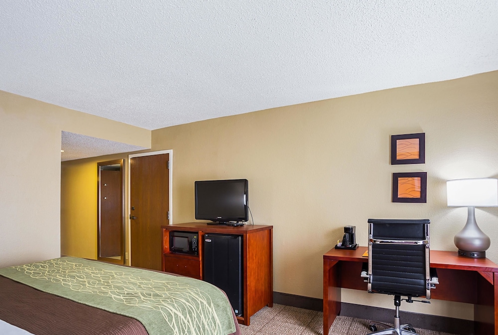 Comfort Inn Baton Rouge 13/33