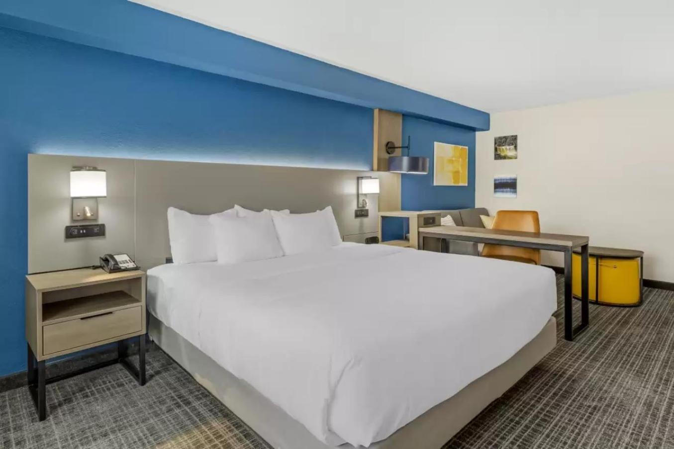 Suite, King Bed, Sofa